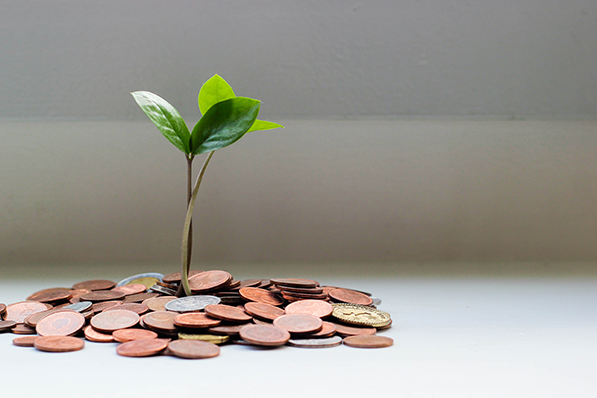 money-sapling